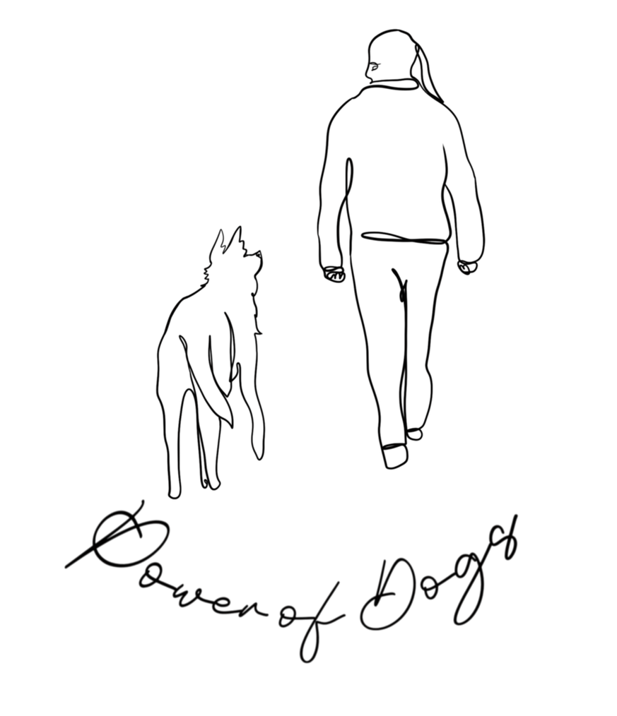 image1 (1).png